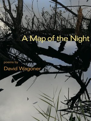 cover image of A Map of the Night